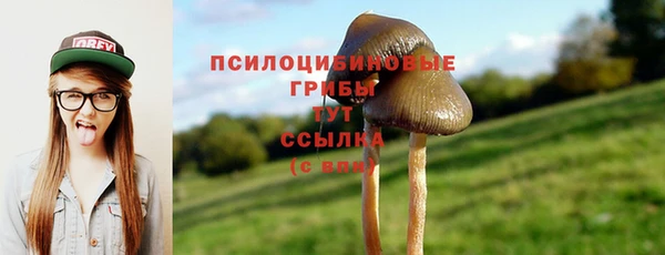 spice Абинск