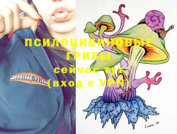 spice Абинск