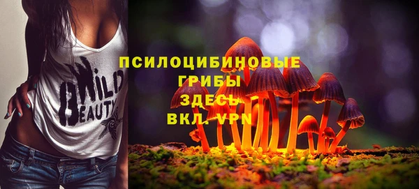 spice Абинск