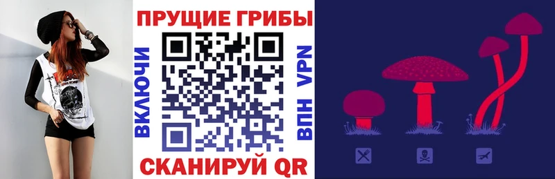 Галлюциногенные грибы Cubensis  darknet состав  Орск 